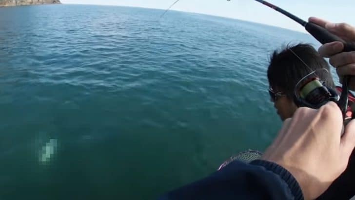 アオリイカ釣り中に大ハプニング！