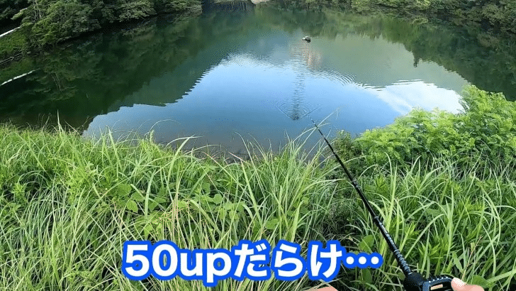 野池の巨大バスを釣り上げる お魚ジャパン ネット最大級の釣りデータ